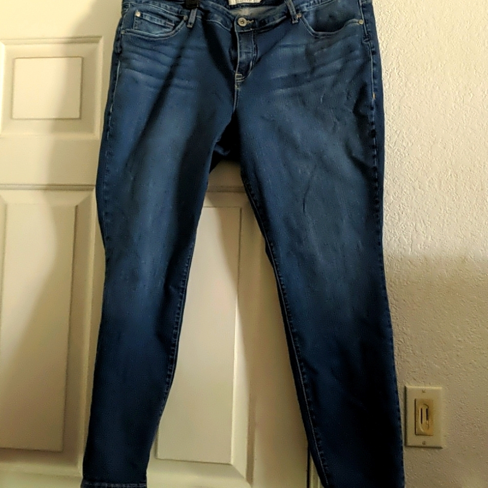 Torrid Jeans